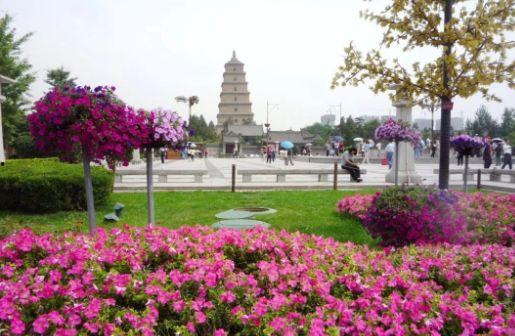 西安追星吃瓜娱乐公司,吃瓜娱乐公司引领潮流解析